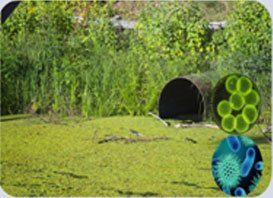 농업용수의 오염